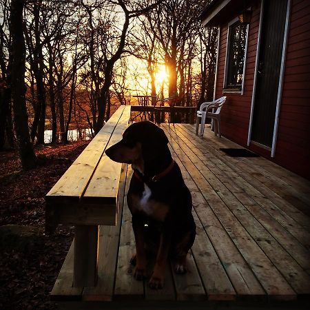 Farm Stay Happy Dogs Ranch Veberöd Eksteriør billede