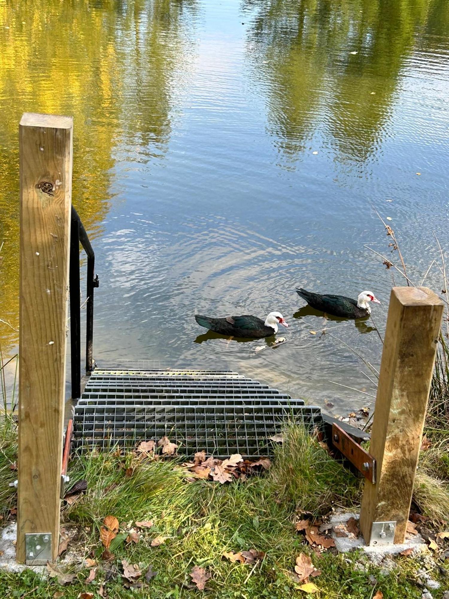 Farm Stay Happy Dogs Ranch Veberöd Eksteriør billede