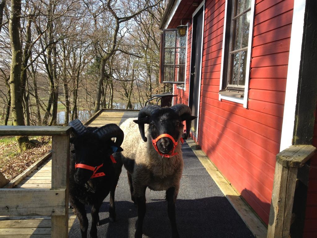 Farm Stay Happy Dogs Ranch Veberöd Eksteriør billede