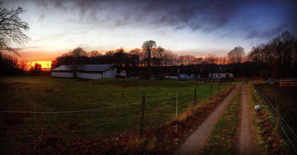 Farm Stay Happy Dogs Ranch Veberöd Eksteriør billede