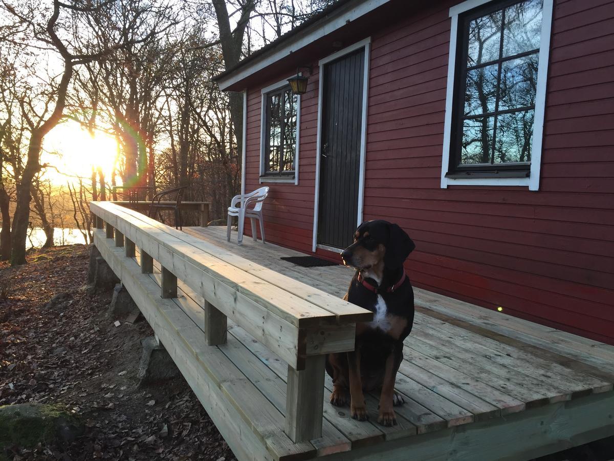 Farm Stay Happy Dogs Ranch Veberöd Eksteriør billede